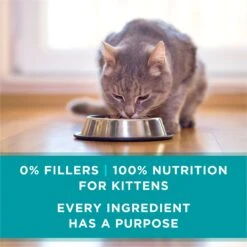 Purina ONE Grain-Free Natural Pate Healthy Kitten Chicken & Salmon Recipe Wet Kitten Food 17 Purina ONE Grain-Free Natural Pate Healthy Kitten Chicken & Salmon Recipe Wet Kitten Food -Furry Friends 166133 PT6. AC SS1800 V1658190301