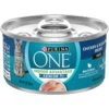 Purina ONE Indoor Advantage 7+ Chicken & Ocean Fish Recipe Pate Wet Cat Food -Furry Friends 166135 MAIN. AC SS1800 V1636671719
