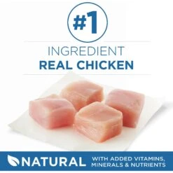 Purina ONE Indoor Advantage 7+ Chicken & Ocean Fish Recipe Pate Wet Cat Food -Furry Friends 166135 PT2. AC SS1800 V1636676190