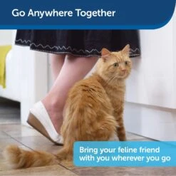 PetSafe Disposable Collapsible Litter Box With ScoopFree Crystal Litter 16 PetSafe Disposable Collapsible Litter Box With ScoopFree Crystal Litter -Furry Friends 166221 PT5. AC SS1800 V1700155519