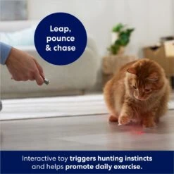 Frisco 2-in-1 Laser & LED Light Laser Cat Toy -Furry Friends 166309 PT3. AC SS1800 V1686579688