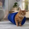 Frisco Foldable Play Tunnel With Mesh Cat Toy 1 Frisco Foldable Play Tunnel With Mesh Cat Toy -Furry Friends 166385 MAIN. AC SS1800 V1686579145
