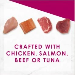 Fancy Feast Savory Centers Variety Pack Canned Cat Food -Furry Friends 169569 PT3. AC SS1800 V1675450046