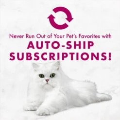 Fancy Feast Savory Centers Variety Pack Canned Cat Food -Furry Friends 169569 PT8. AC SS1800 V1675450086