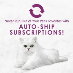 Fancy Feast Savory Centers Beef Canned Cat Food -Furry Friends 169577 PT7. AC SS1800 V1560794601