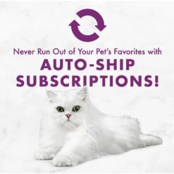 Fancy Feast Savory Centers Beef Canned Cat Food -Furry Friends 169577 PT8. AC SS1800 V1560794566