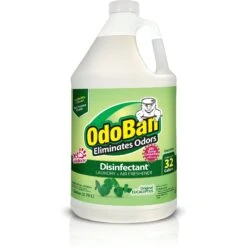 OdoBan Disinfectant Laundry & Air Freshener Concentrate, Eucalyptus Scent