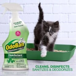 OdoBan Disinfectant Fabric & Air Freshener Spray, Eucalyptus Scent -Furry Friends 169642 PT3. AC SS1800 V1646089304