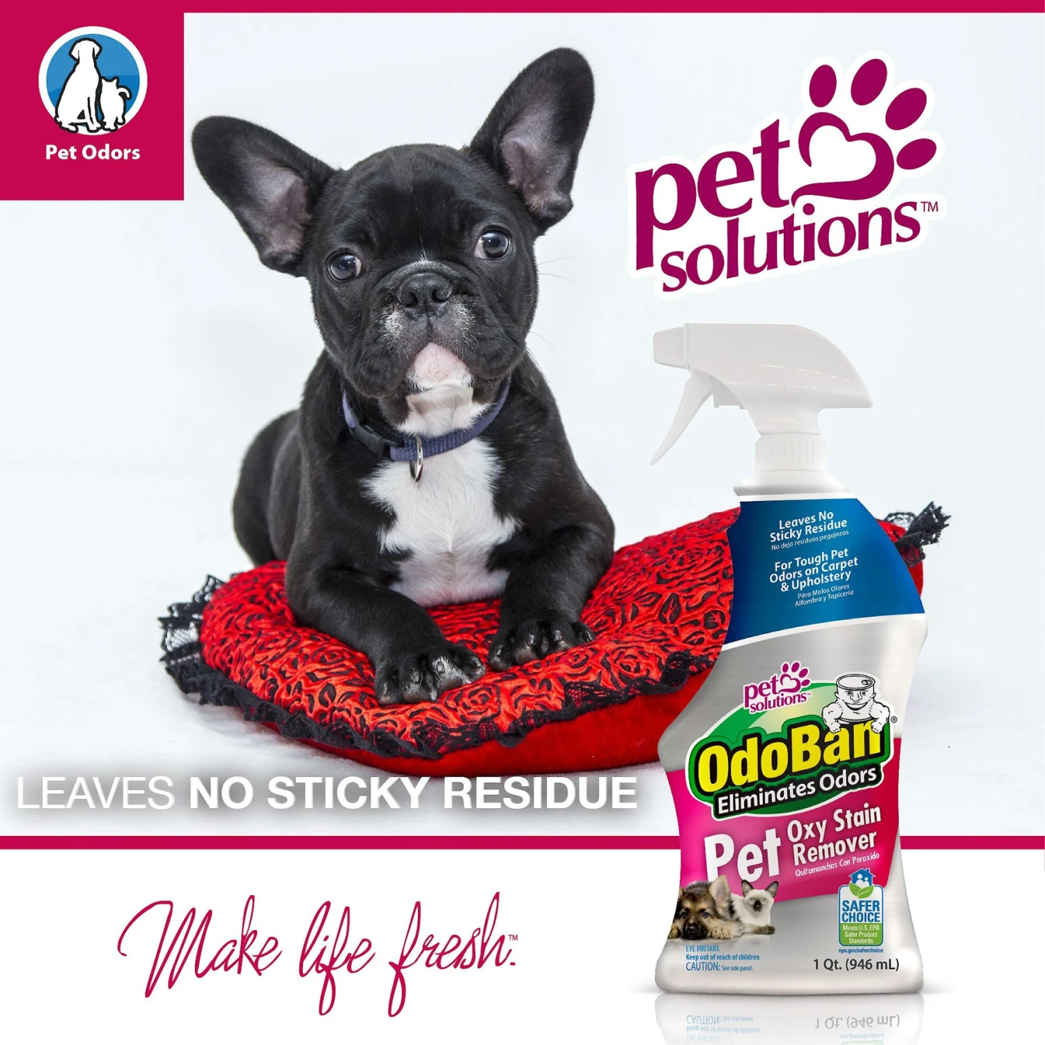 OdoBan Pet Oxy Stain Remover 5 OdoBan Pet Oxy Stain Remover - Image 3