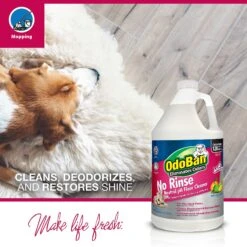 OdoBan No Rinse Neutral PH Floor Cleaner, Citrus Scent -Furry Friends 169654 PT3. AC SS1800 V1557259446