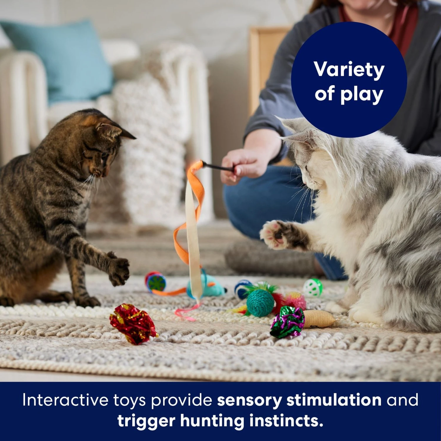 Frisco Plush, Teaser & Ball Variety Pack Cat Toy With Catnip 6 Frisco Plush, Teaser & Ball Variety Pack Cat Toy With Catnip - Image 4