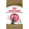 Royal Canin Feline Breed Nutrition Maine Coon Kitten Dry Cat Food, 3-lb Bag -Furry Friends 169731 MAIN. AC SS1800 V1694811566