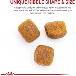 Royal Canin Feline Breed Nutrition Maine Coon Kitten Dry Cat Food, 3-lb Bag -Furry Friends 169731 PT3. AC SS1800 V1695054142