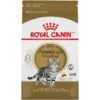 Royal Canin Feline Breed Nutrition American Shorthair Adult Dry Cat Food -Furry Friends 169732 MAIN. AC SS1800 V1697583131