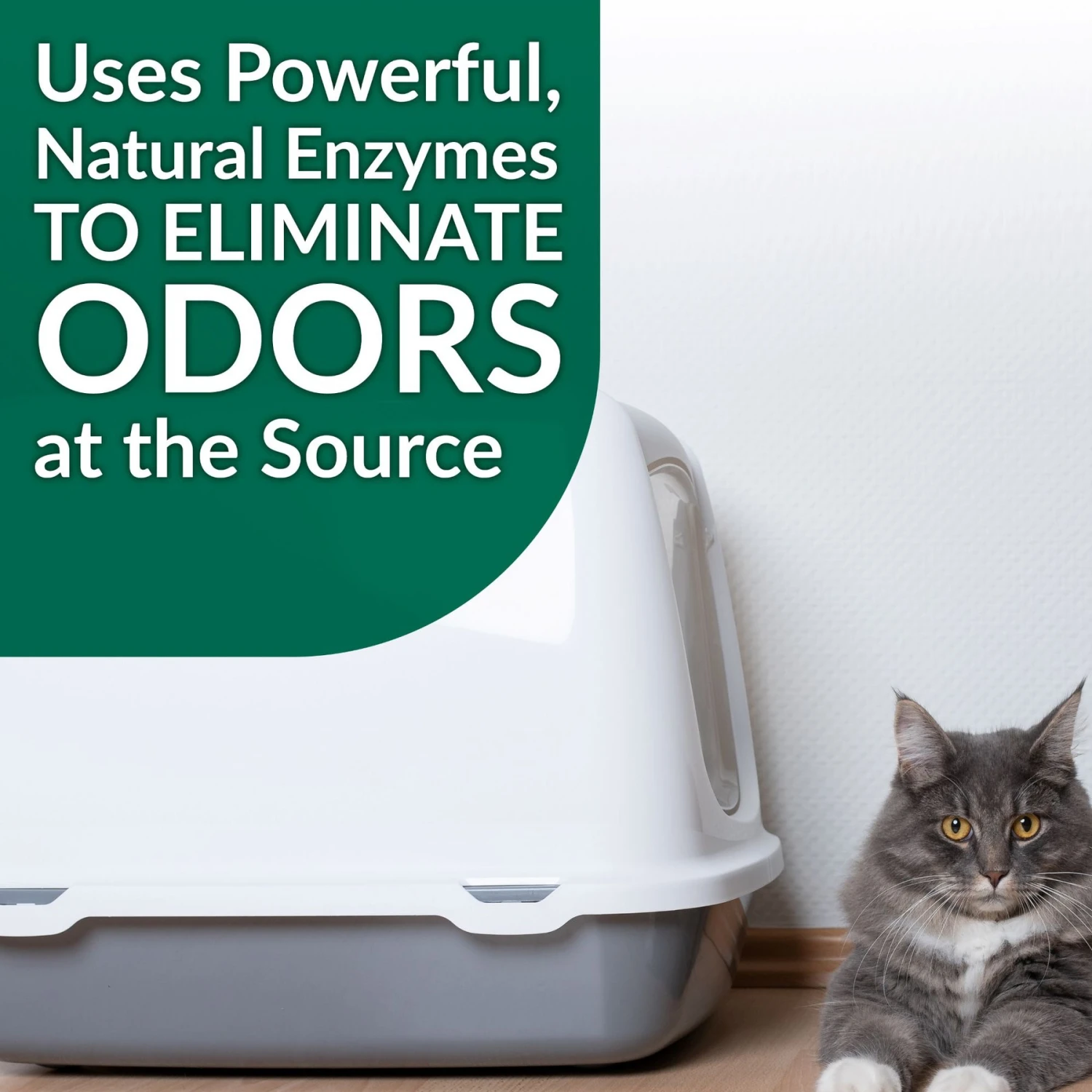 Simple Green Cat Stain & Odor Remover 7 Simple Green Cat Stain & Odor Remover - Image 5