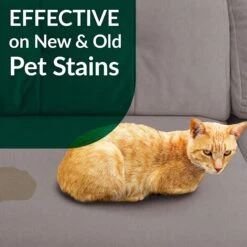 Simple Green Cat Stain & Odor Remover 15 Simple Green Cat Stain & Odor Remover -Furry Friends 172629 PT6. AC SS1800 V1556823121