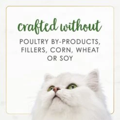 Fancy Feast Gourmet Naturals Pate Variety Pack Canned Cat Food, 3-oz, Case Of 12 -Furry Friends 172632 PT7. AC SS1800 V1677103571