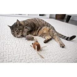 Petlinks Lil' Critters Mice Cat Toy With Catnip -Furry Friends 173511 PT3. AC SS1800 V1594673475