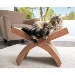 Petlinks Scratcher's Choice Perch Hammock Cat Scratcher Toy With Catnip 13 Petlinks Scratcher's Choice Perch Hammock Cat Scratcher Toy With Catnip -Furry Friends 173521 PT2. AC SS1800 V1595371090
