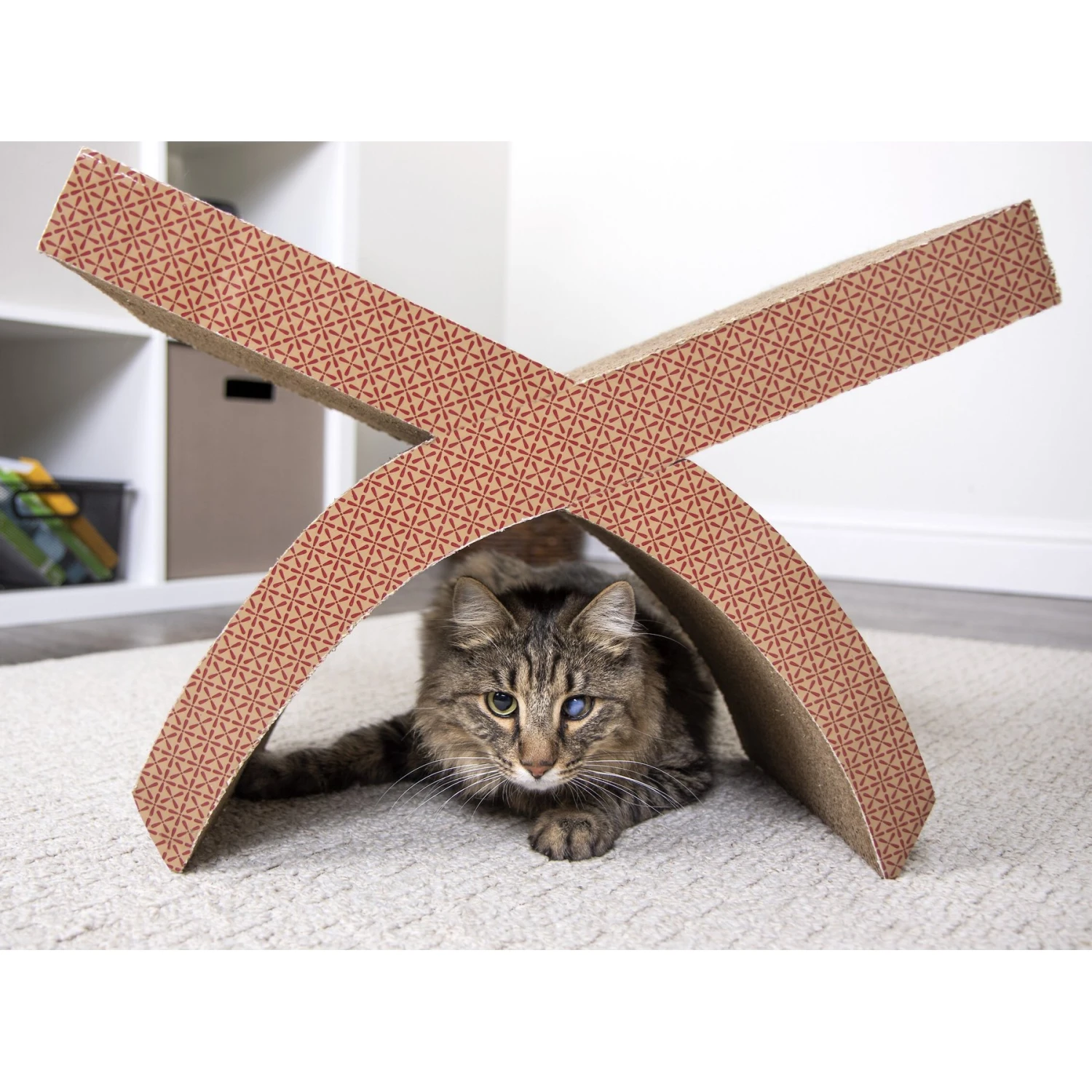 Petlinks Scratcher's Choice Perch Hammock Cat Scratcher Toy With Catnip 6 Petlinks Scratcher's Choice Perch Hammock Cat Scratcher Toy With Catnip - Image 4