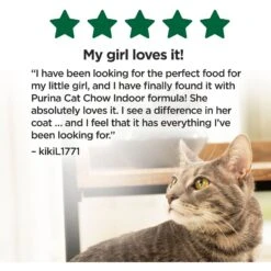 Cat Chow Indoor Hairball & Healthy Weight Dry Cat Food -Furry Friends 173768 PT5. AC SS1800 V1695744332