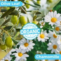 Pawtitas Organic Sheabutter & Oatmeal Cat Shampoo & Conditioner -Furry Friends 173809 PT4. AC SS1800 V1682099788