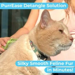 Pawtitas Organic Sheabutter & Oatmeal Cat Shampoo & Conditioner -Furry Friends 173809 PT5. AC SS1800 V1682099731