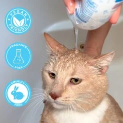 Pawtitas Organic Sheabutter & Oatmeal Cat Shampoo & Conditioner -Furry Friends 173809 PT7. AC SS1800 V1682098352