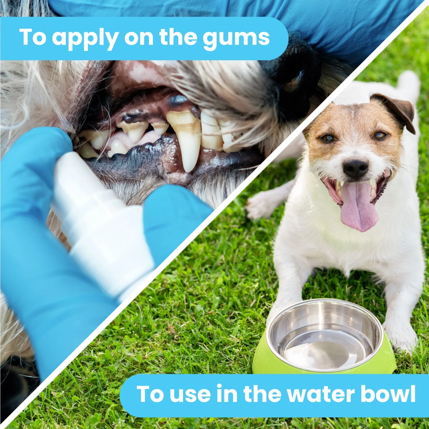 Pawtitas Fresh Mint Flavor Dog Dental Water Additive 4 Pawtitas Fresh Mint Flavor Dog Dental Water Additive - Image 2