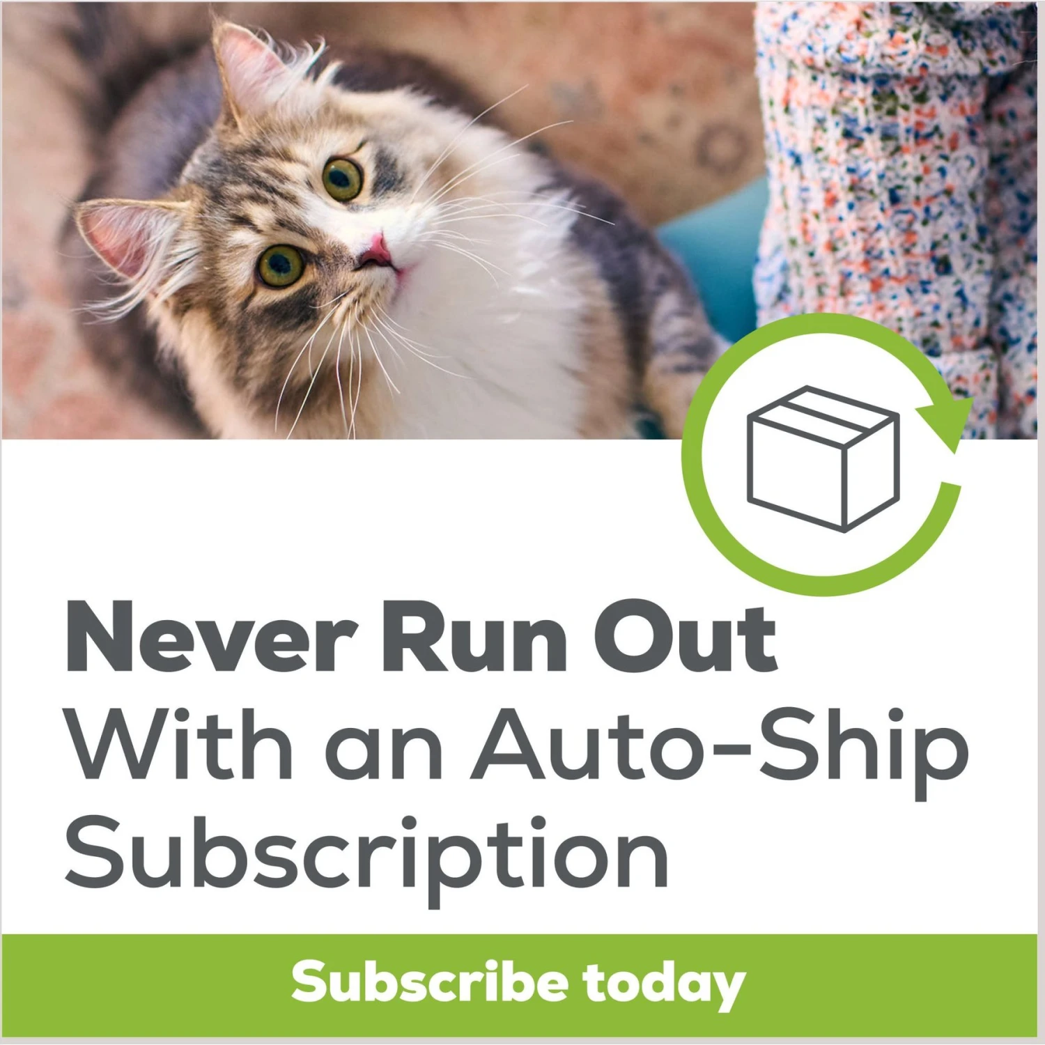 Tidy Max Lightweight Glade Clean Blossoms Scented Clumping Clay Cat Litter 9 Tidy Max Lightweight Glade Clean Blossoms Scented Clumping Clay Cat Litter - Image 7