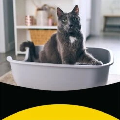 Tidy Max Lightweight Glade Clear Springs Scented Lightweight Clay Cat Litter -Furry Friends 175483 PT2. AC SS1800 V1695847298