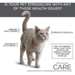Diamond Care Urinary Support Formula Adult Dry Cat Food -Furry Friends 175579 PT5. AC SS1800 V1587655887