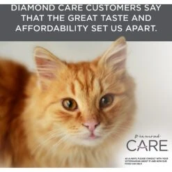 Diamond Care Urinary Support Formula Adult Dry Cat Food -Furry Friends 175579 PT6. AC SS1800 V1587655858