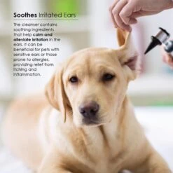 Ora-Clens Otiderm Dog & Cat Ear Cleaner -Furry Friends 175581 PT3. AC SS1800 V1686941219
