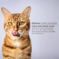 Proflora Powder Digestive Supplement For Cats -Furry Friends 175609 PT2. AC SS1800 V1686941160
