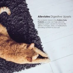Proflora Powder Digestive Supplement For Cats -Furry Friends 175609 PT6. AC SS1800 V1686941640