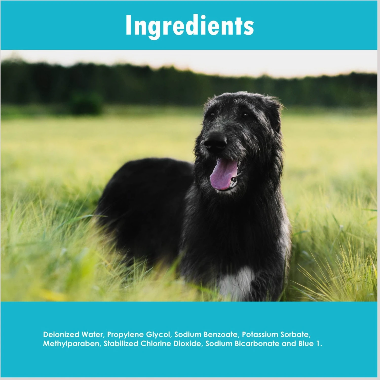 Ora-Clens Dog & Cat Dental Water Additive 5 Ora-Clens Dog & Cat Dental Water Additive - Image 3