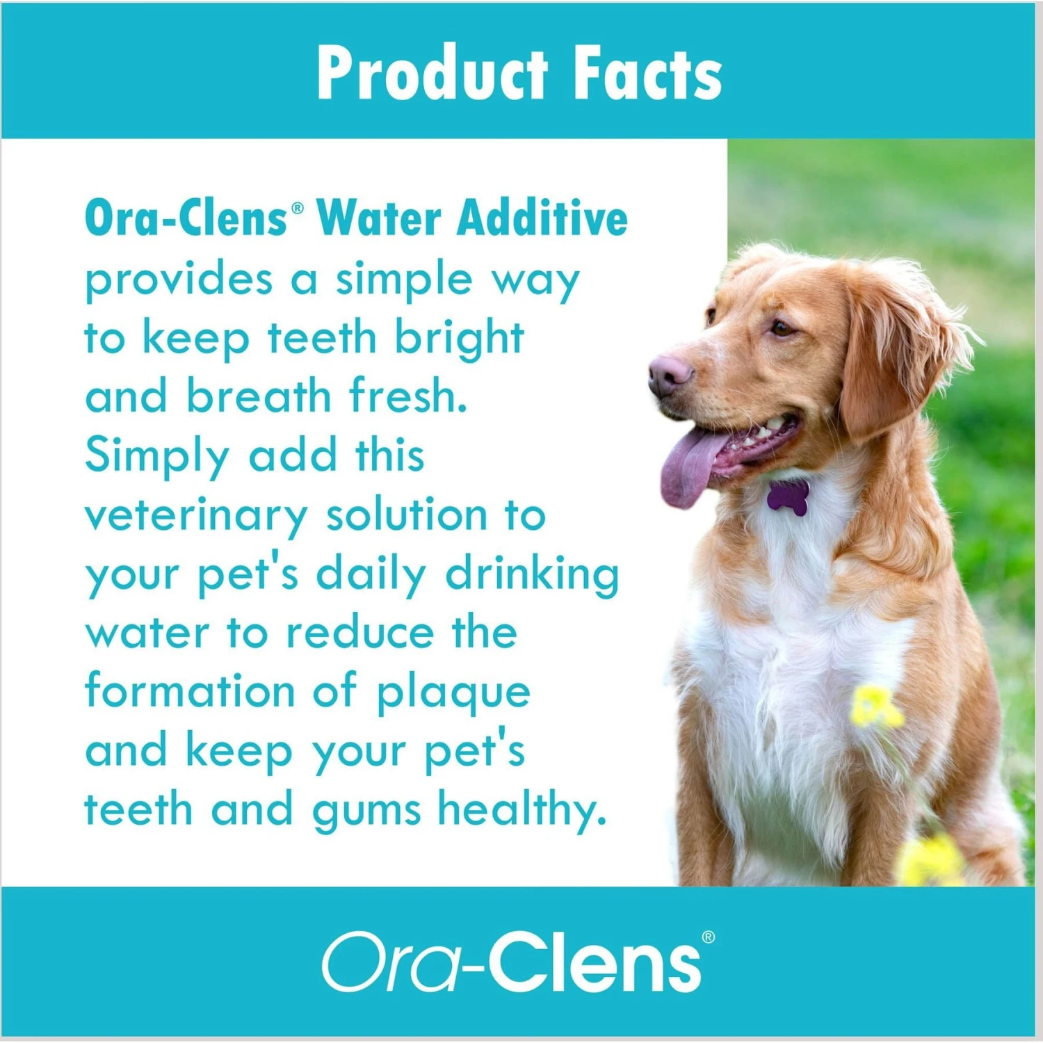 Ora-Clens Dog & Cat Dental Water Additive 8 Ora-Clens Dog & Cat Dental Water Additive - Image 6