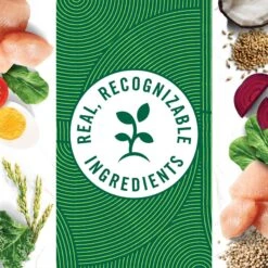 Nutro Wholesome Essentials Chicken & Brown Rice Recipe Kitten Dry Cat Food -Furry Friends 175960 PT7. AC SS1800 V1702665978