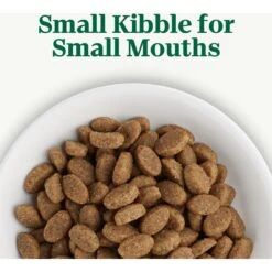 Nutro Wholesome Essentials Adult Chicken & Brown Rice Recipe Dry Cat Food -Furry Friends 176461 PT3. AC SS1800 V1702665931