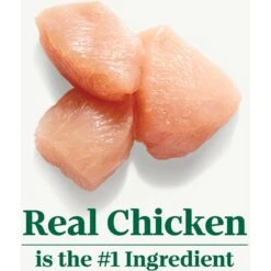 Nutro Wholesome Essentials Adult Chicken & Brown Rice Recipe Dry Cat Food -Furry Friends 176461 PT4. AC SS1800 V1702665917