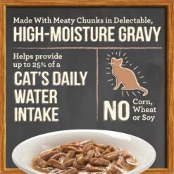 Merrick Purrfect Bistro Bon Appetits Grain-Free Turkey Recipe Chunks In Gravy Adult Cat Food Pouches -Furry Friends 176663 PT2. AC SS1800 V1628565704