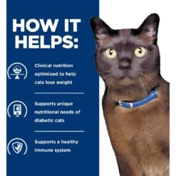 Hill's Prescription Diet M/d GlucoSupport Chicken & Liver Stew Canned Cat Food -Furry Friends 177944 PT5. AC SS1800 V1609380449