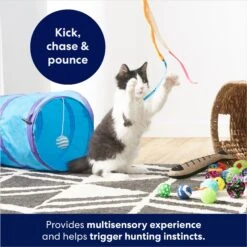 Frisco Plush, Teaser, Ball & Tri-Tunnel Variety Pack Cat Toy With Catnip, 20 Count -Furry Friends 178161 PT3. AC SS1800 V1678723898