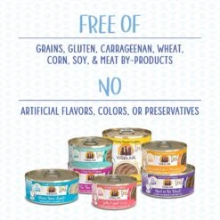 Weruva Classic Cat Tic Tac Whoa Tuna & Salmon Pate Canned Cat Food -Furry Friends 178188 PT3. AC SS1800 V1674159925