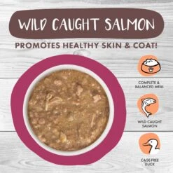 Weruva Classic Cat Stewlander Duck & Salmon In Gravy Stew Canned Cat Food -Furry Friends 178200 PT2. AC SS1800 V1672256625