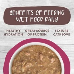 Weruva Classic Cat Stewlander Duck & Salmon In Gravy Stew Canned Cat Food -Furry Friends 178200 PT5. AC SS1800 V1672255282