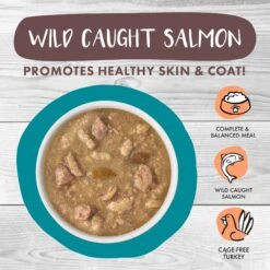 Weruva Classic Cat Stew's Clues Turkey, Chicken & Salmon In Gravy Stew Wet Canned Cat Food -Furry Friends 178203 PT2. AC SS1800 V1672255881