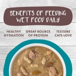 Weruva Classic Cat Stew's Clues Turkey, Chicken & Salmon In Gravy Stew Wet Canned Cat Food -Furry Friends 178203 PT5. AC SS1800 V1672328216