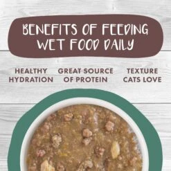 Weruva Classic Cat Simmer Down Turkey, Chicken & Salmon In Gravy Stew Cat Food Pouches -Furry Friends 178217 PT4. AC SS1800 V1672255340